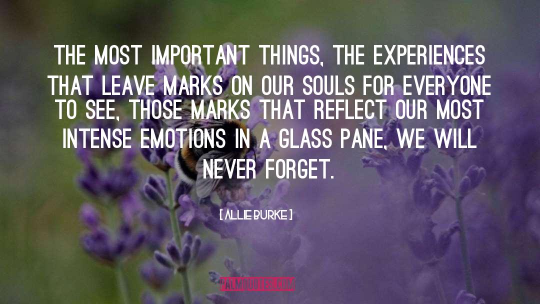 Enlightening Experiences quotes by Allie Burke