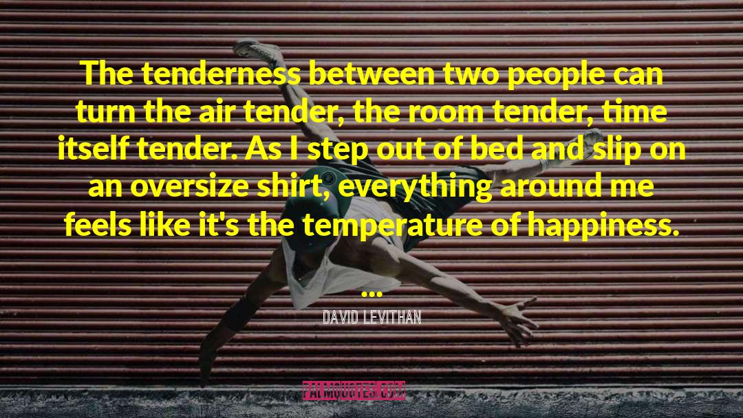 Enlightenment And Love quotes by David Levithan