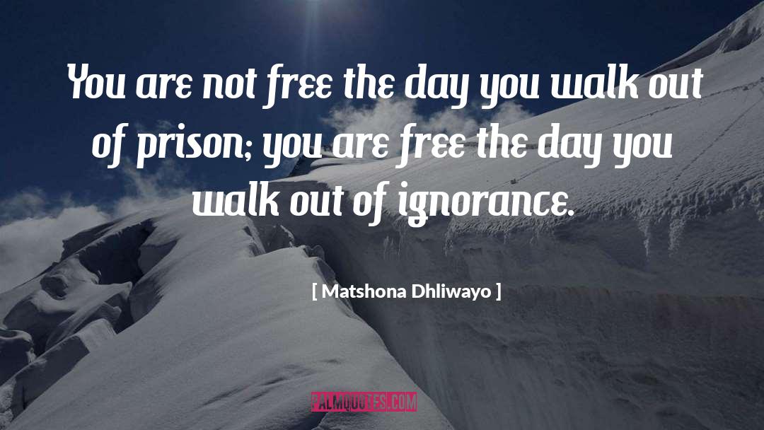 Enlightenment quotes by Matshona Dhliwayo