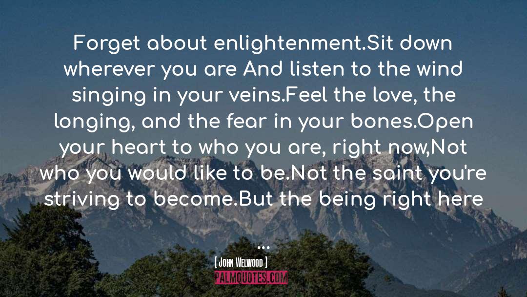 Enlightenment quotes by John Welwood