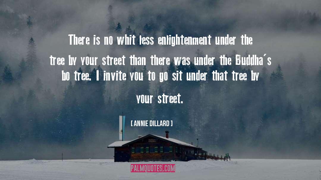 Enlightenment quotes by Annie Dillard