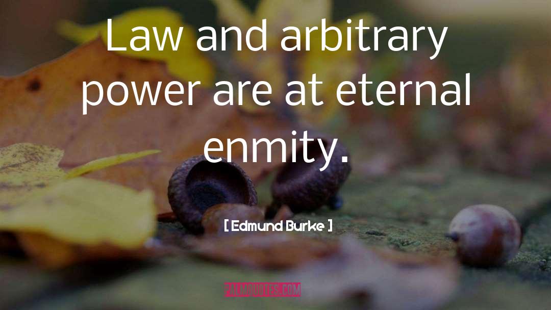 Enmity quotes by Edmund Burke