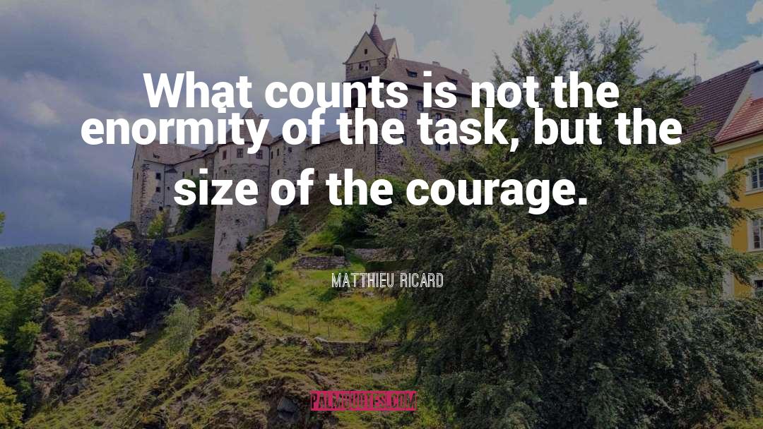 Enormity quotes by Matthieu Ricard