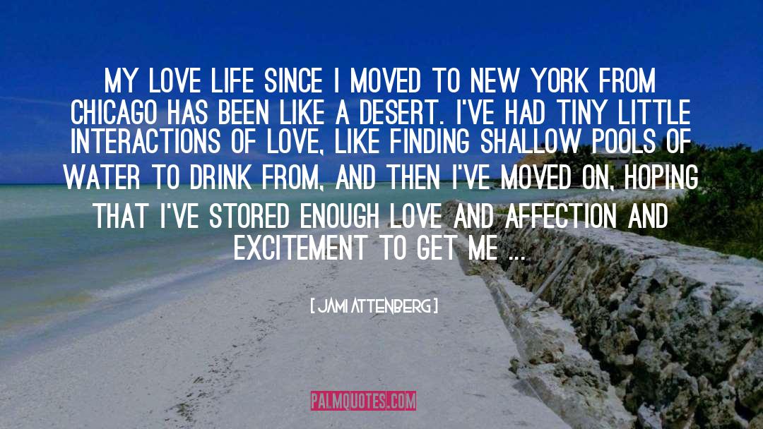 Enough Love quotes by Jami Attenberg
