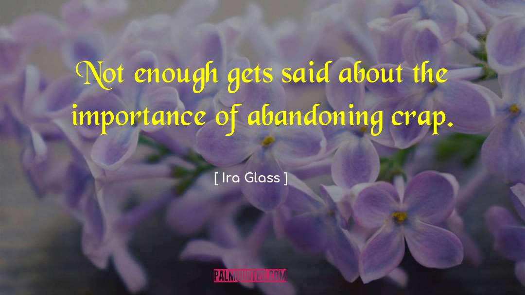 Enough Said quotes by Ira Glass