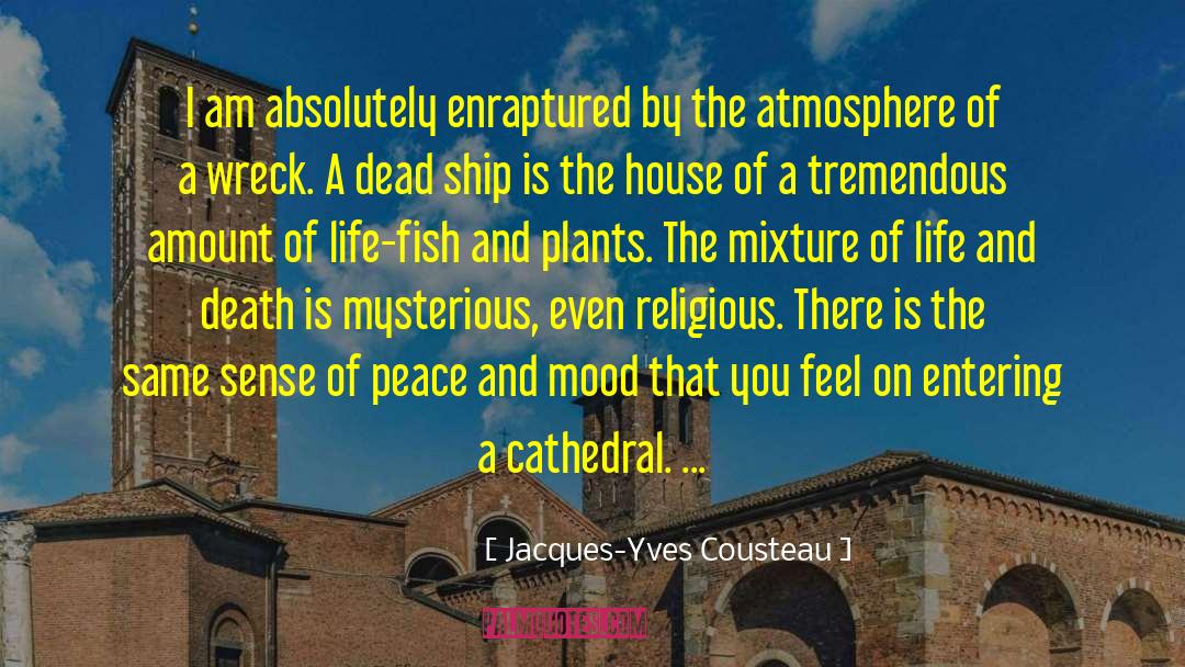 Enraptured quotes by Jacques-Yves Cousteau