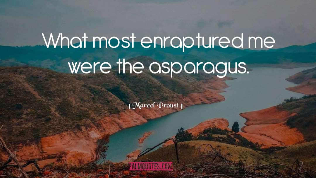 Enraptured quotes by Marcel Proust