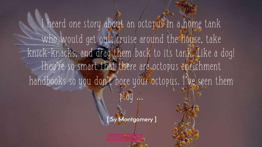 Enrichment quotes by Sy Montgomery