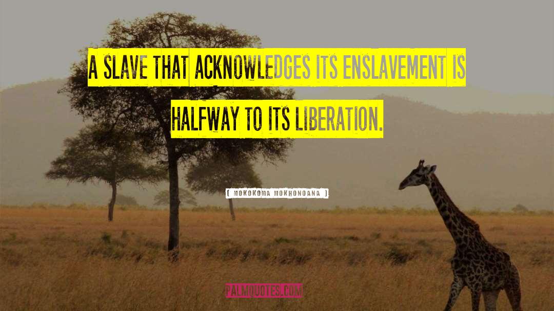 Enslavement quotes by Mokokoma Mokhonoana