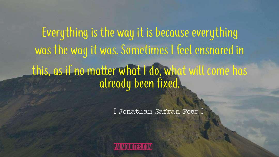 Ensnared quotes by Jonathan Safran Foer