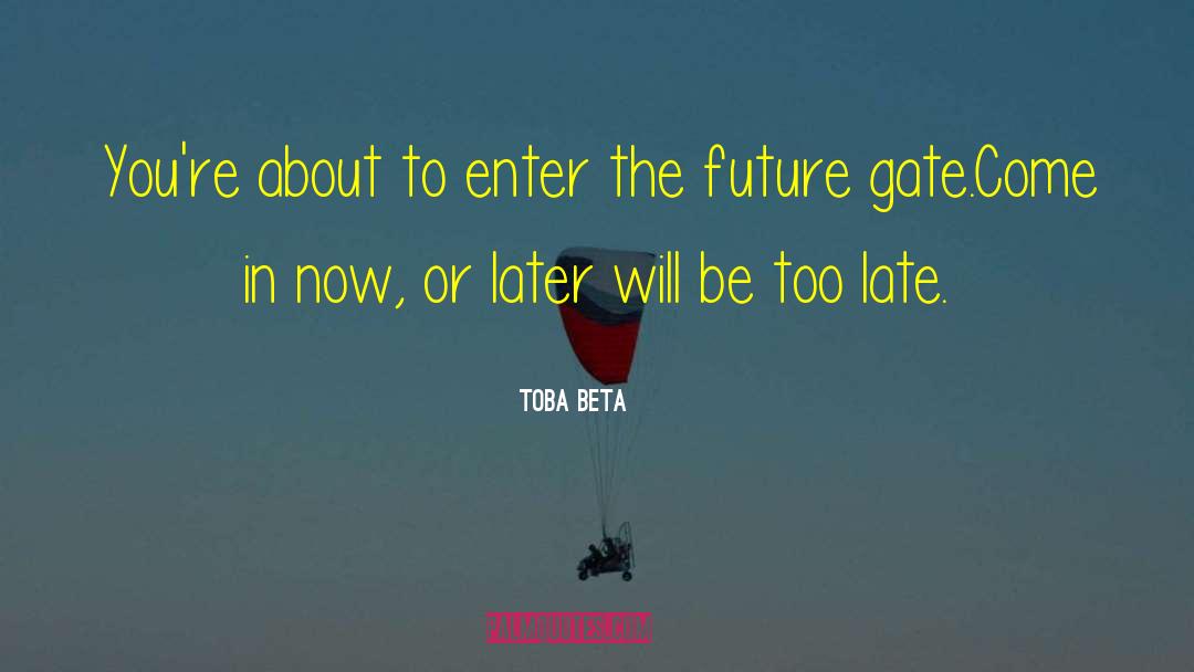 Enter The Matrix quotes by Toba Beta