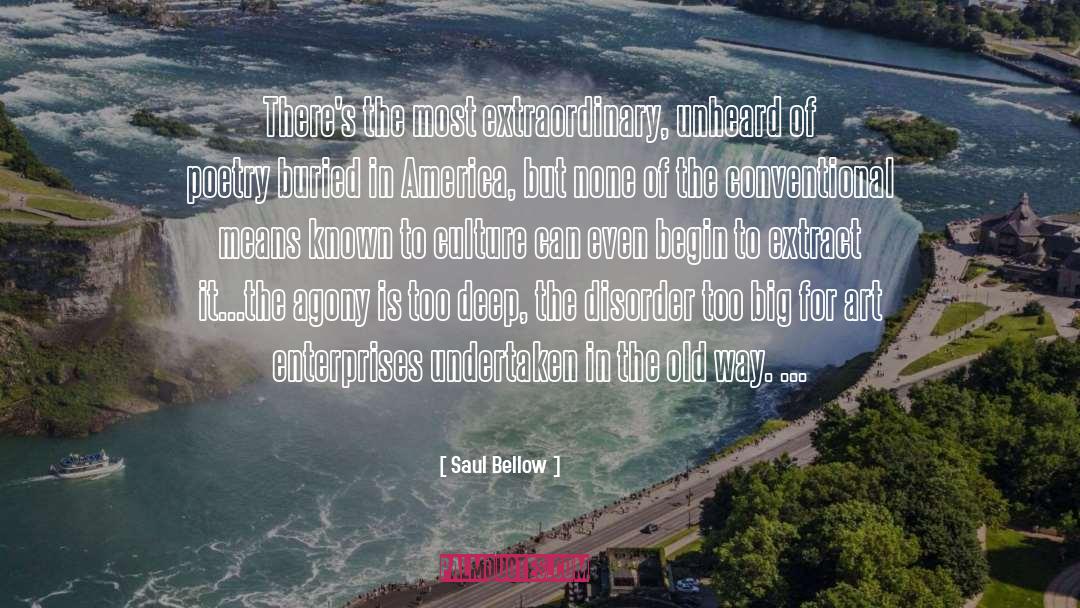 Enterprises quotes by Saul Bellow