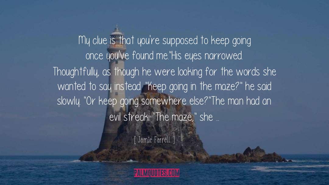 Entertaining Romance quotes by Jamie Farrell