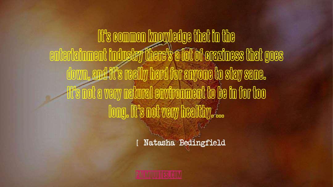 Entertainment Industry quotes by Natasha Bedingfield