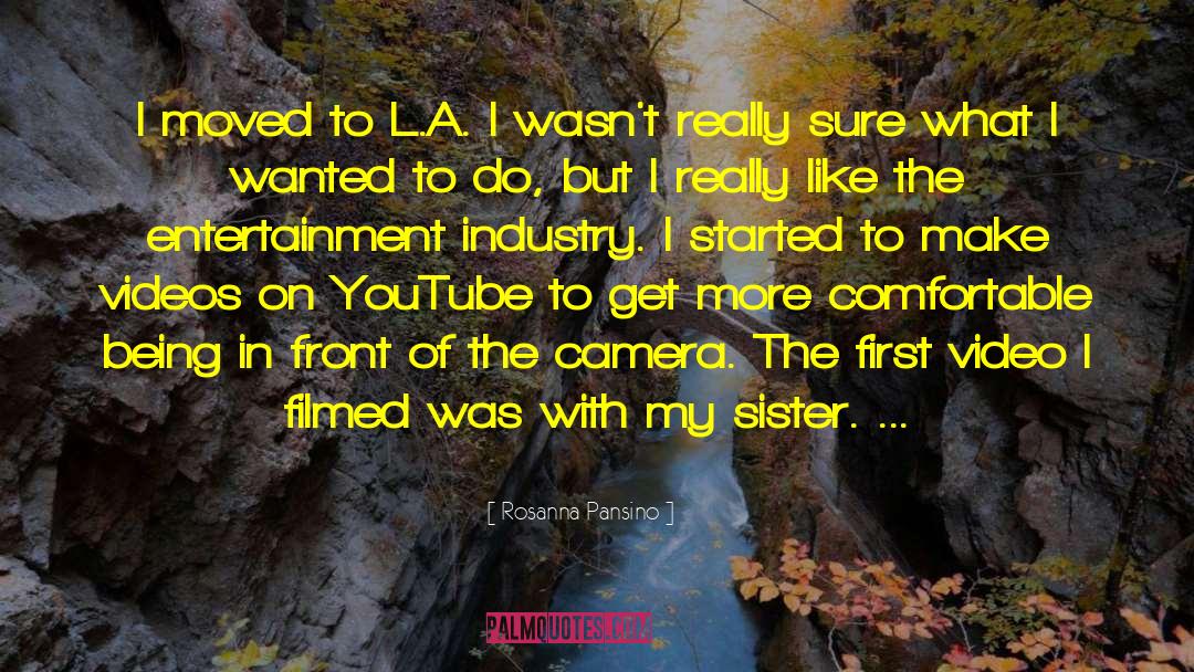 Entertainment Industry quotes by Rosanna Pansino
