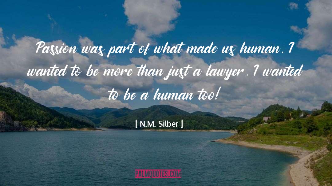 Entertainment Lawyer quotes by N.M. Silber