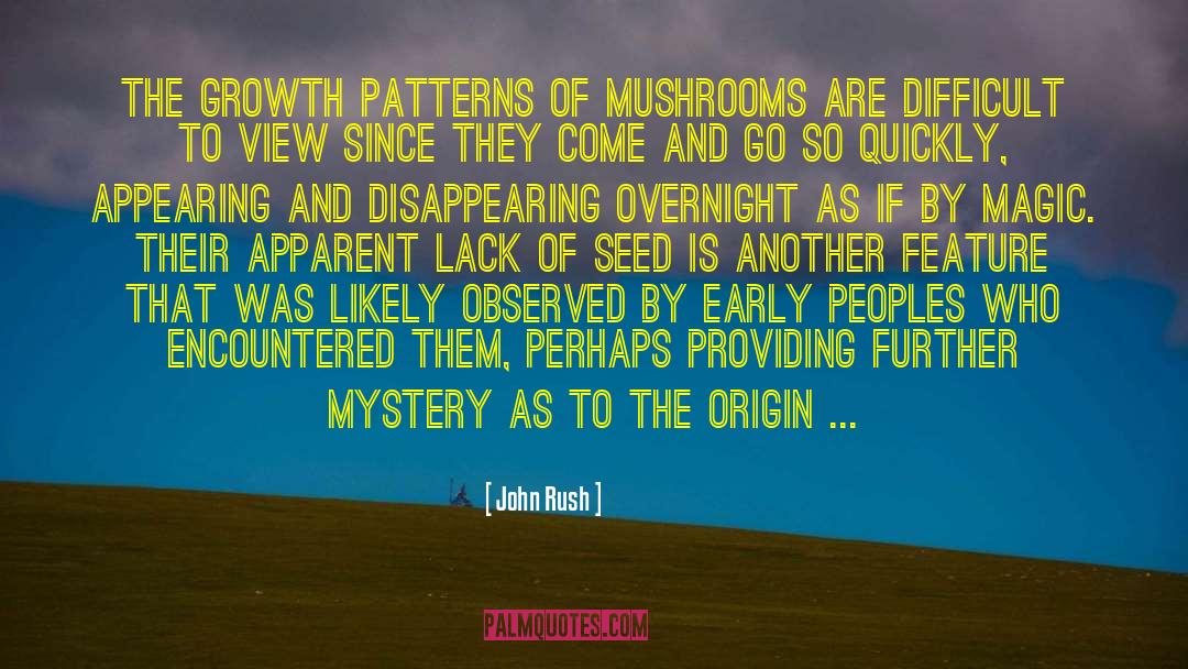 Entheogen quotes by John Rush