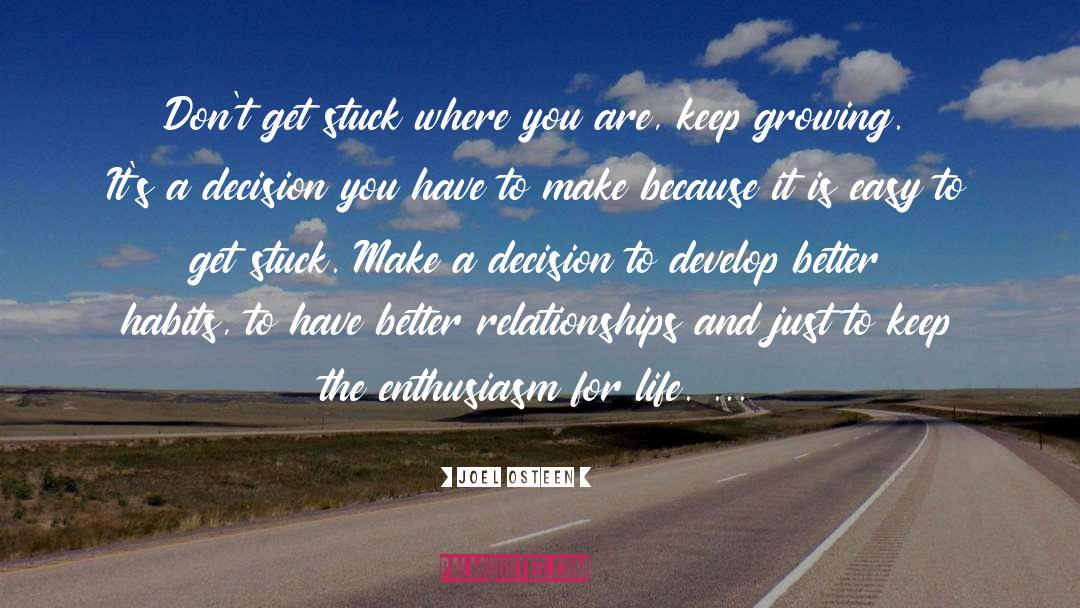 Enthusiasm For Life quotes by Joel Osteen