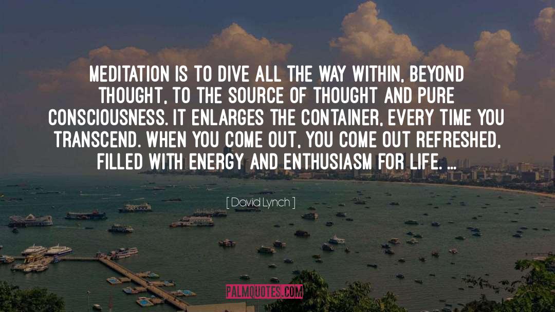 Enthusiasm For Life quotes by David Lynch