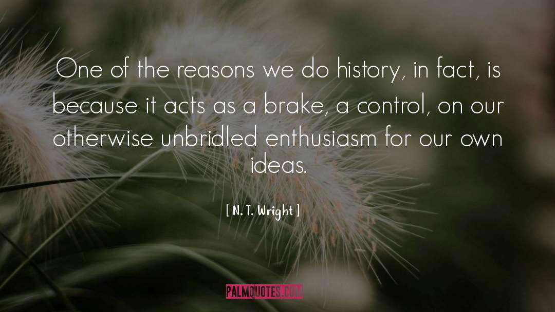Enthusiasm quotes by N. T. Wright