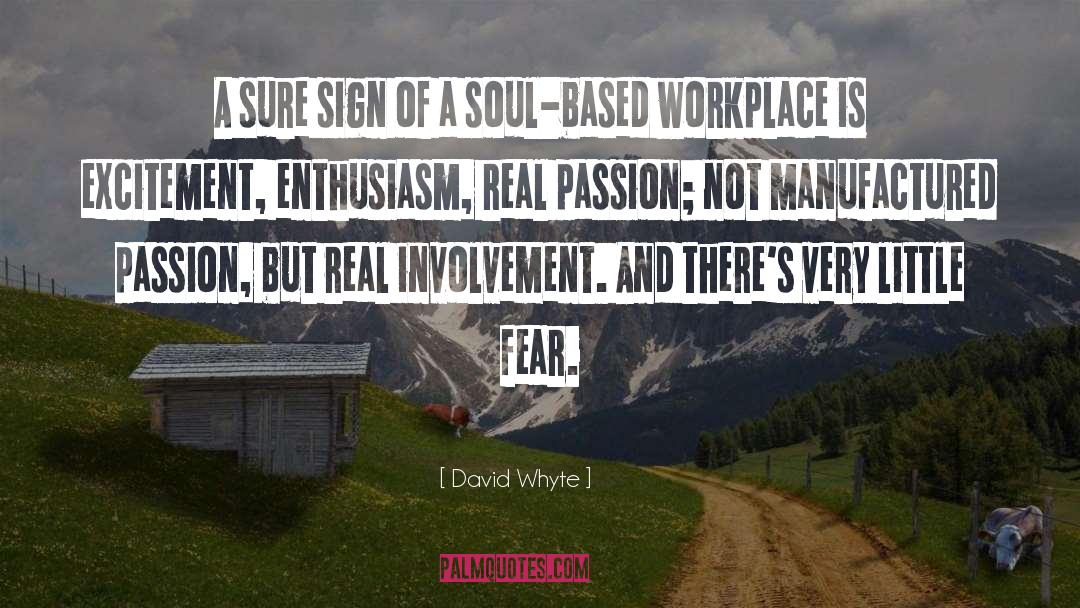 Enthusiasm quotes by David Whyte