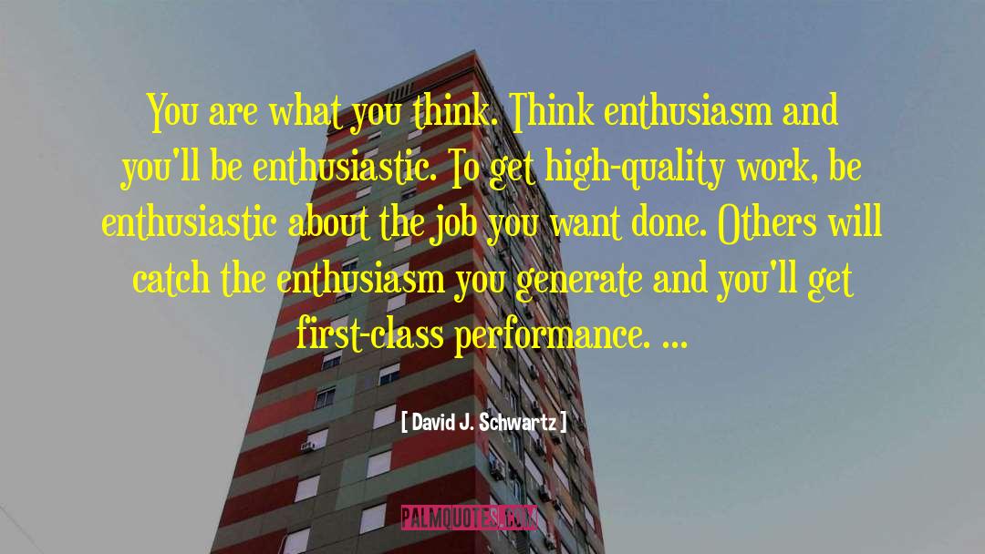 Enthusiastic quotes by David J. Schwartz