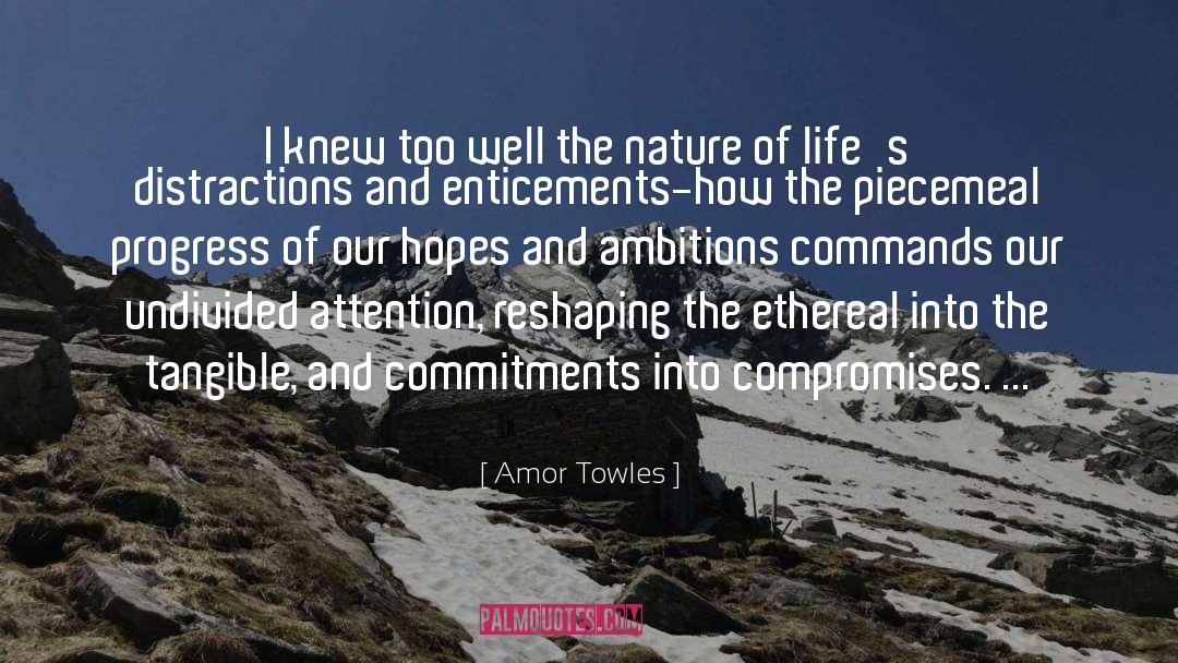 Enticements quotes by Amor Towles
