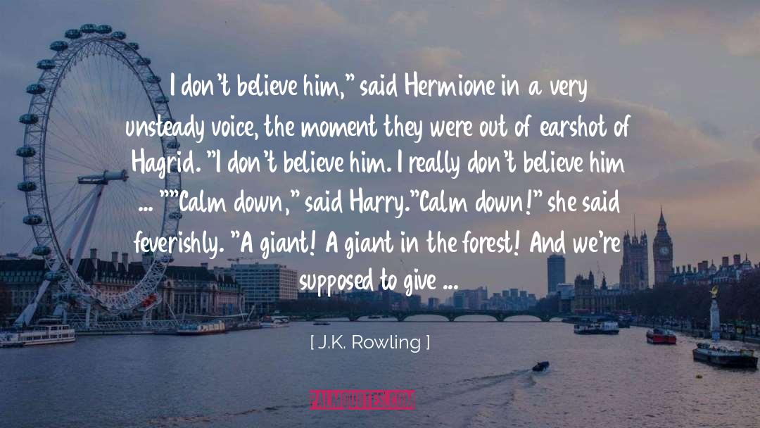 Entlang In English quotes by J.K. Rowling