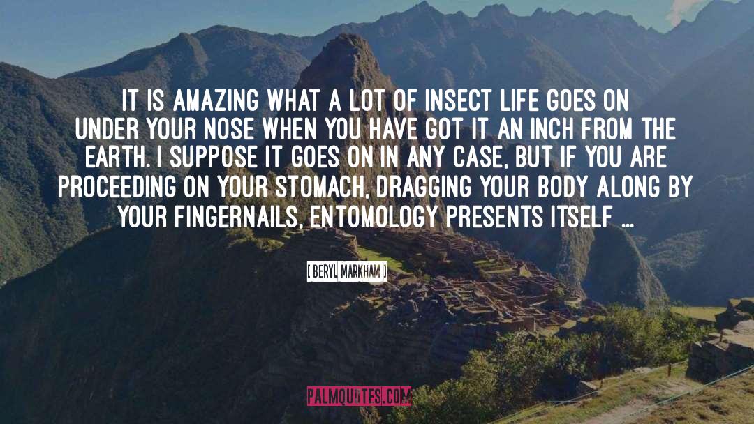 Entomology quotes by Beryl Markham