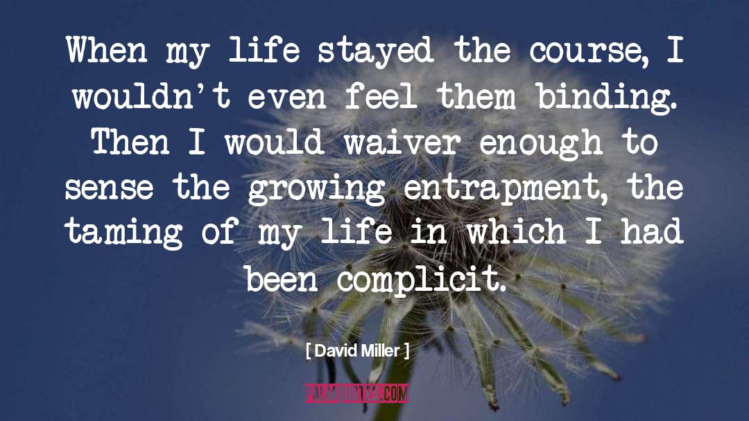Entrapment quotes by David Miller