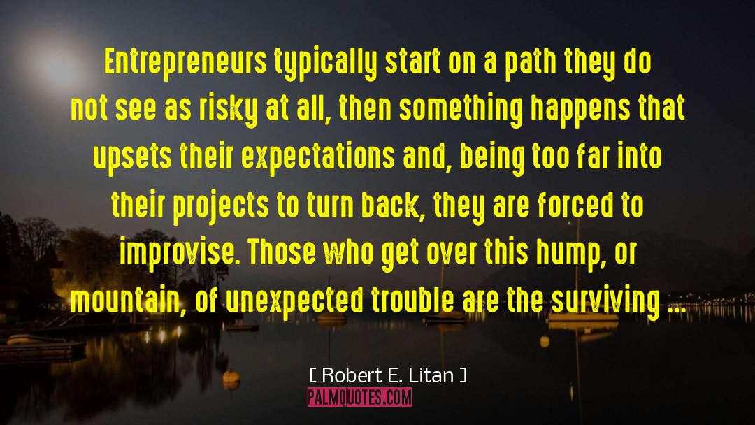 Entrepreneurial quotes by Robert E. Litan