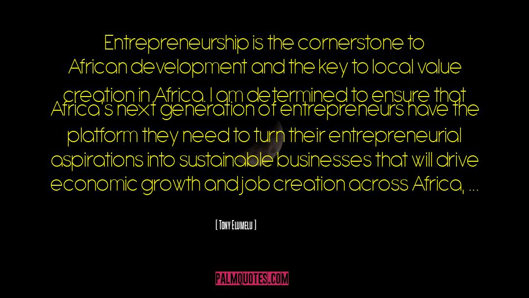 Entrepreneurial quotes by Tony Elumelu