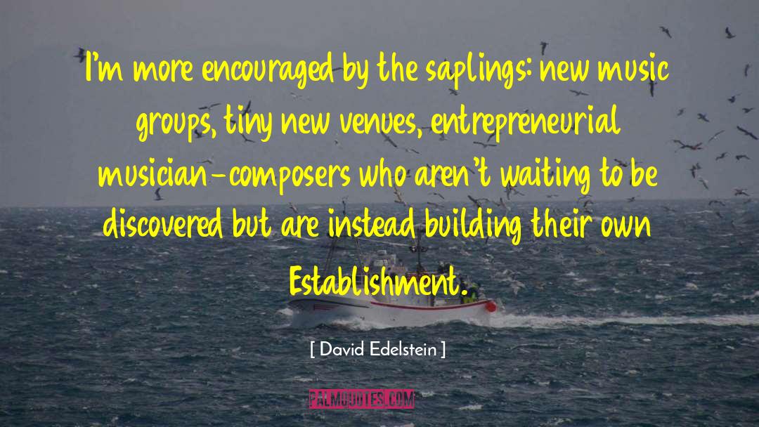 Entrepreneurial quotes by David Edelstein