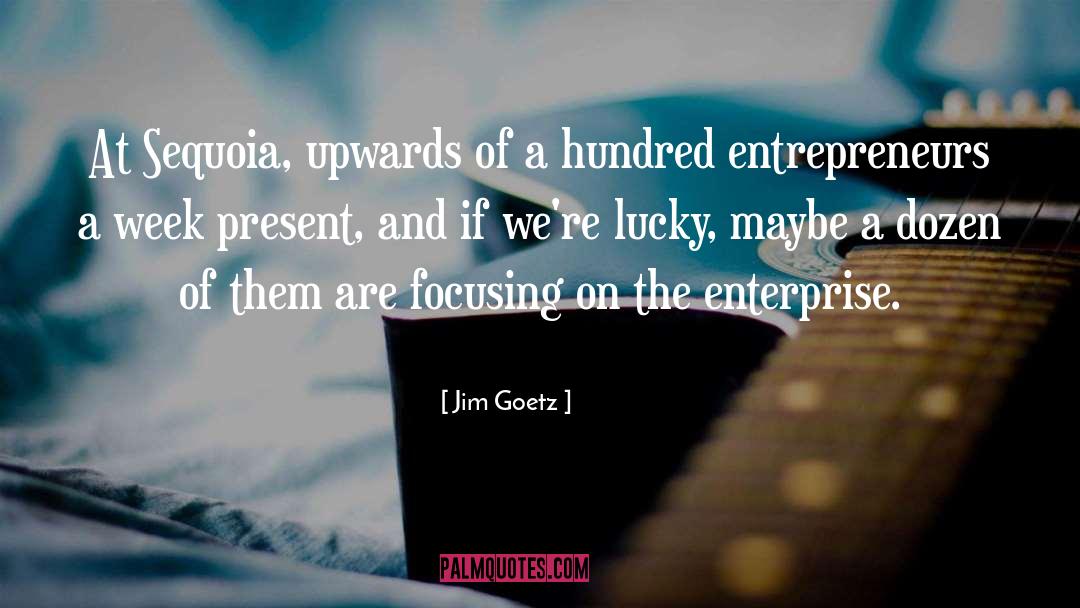 Entrepreneurs quotes by Jim Goetz