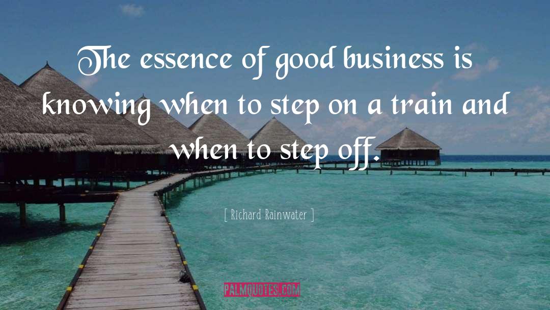 Entrepreneurship Business quotes by Richard Rainwater