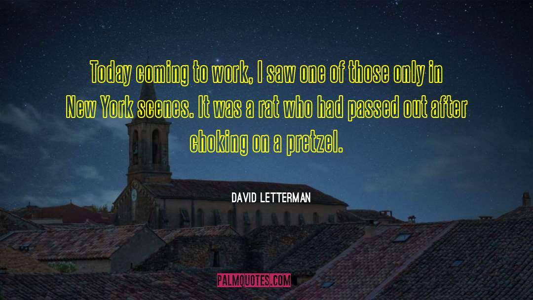 Entrepreneurship Work quotes by David Letterman