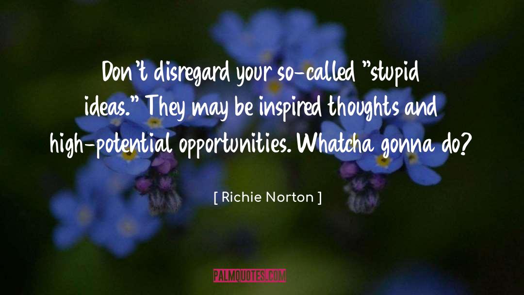 Entrepreneurship Work quotes by Richie Norton