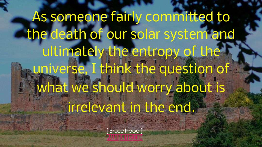 Entropy quotes by Bruce Hood