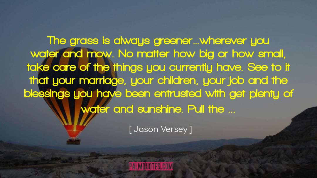 Entrusted quotes by Jason Versey