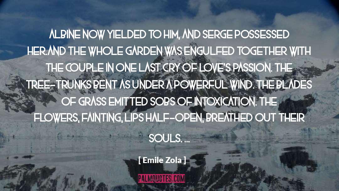 Entry quotes by Emile Zola