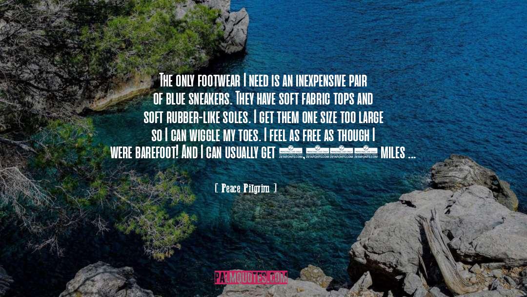 Envies Footwear quotes by Peace Pilgrim