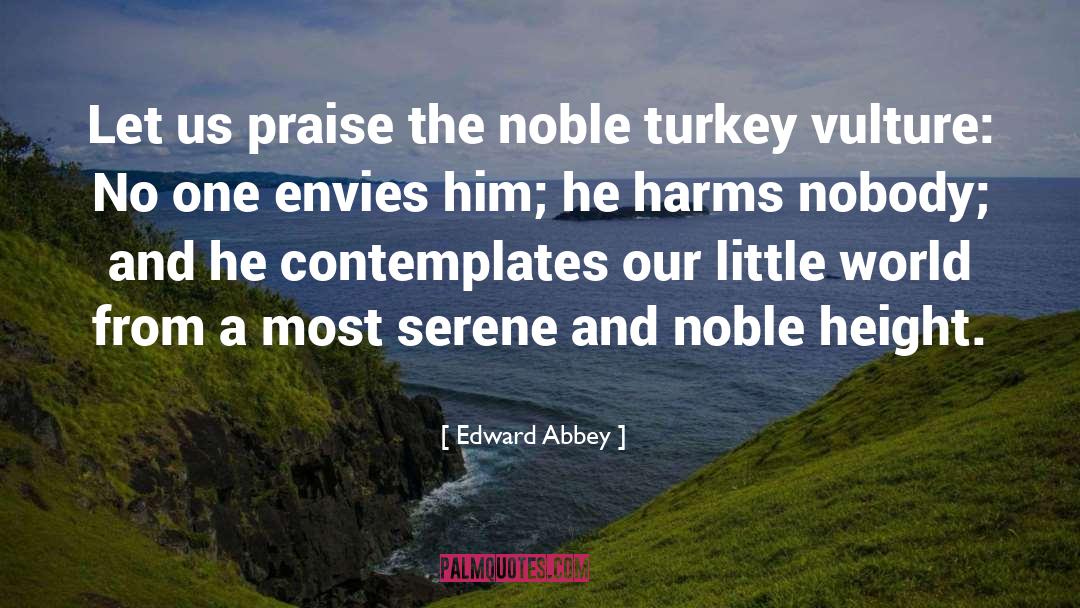 Envies quotes by Edward Abbey