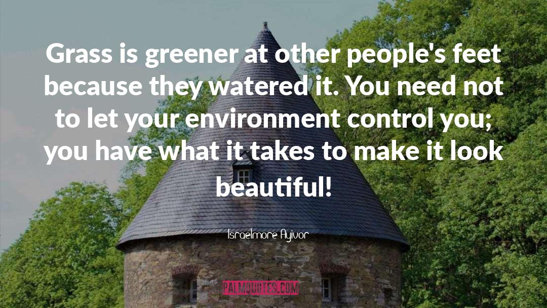 Environment quotes by Israelmore Ayivor