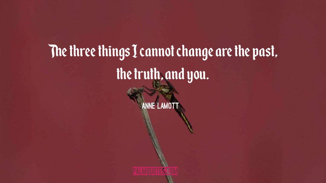 Environmentaal Change quotes by Anne Lamott