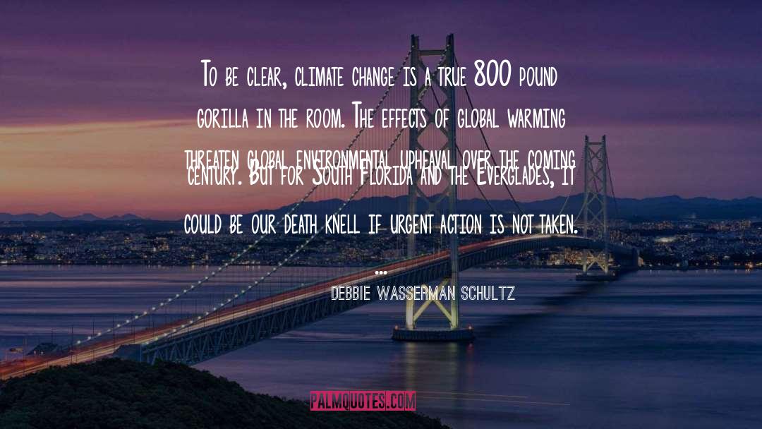 Environmental Change quotes by Debbie Wasserman Schultz