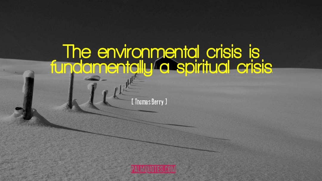 Environmental Crisis quotes by Thomas Berry