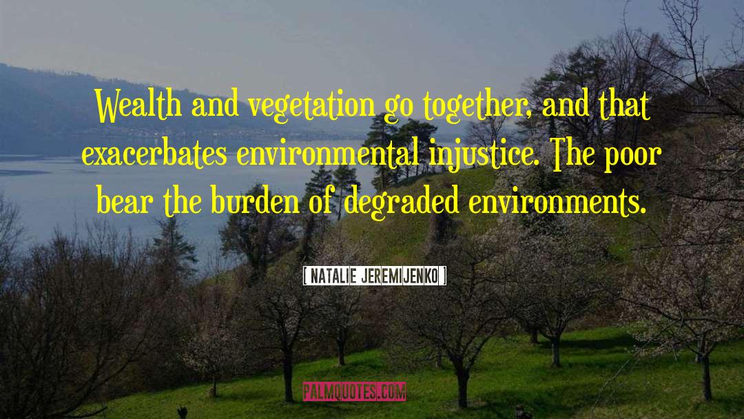 Environmental Degradation quotes by Natalie Jeremijenko