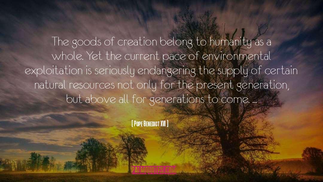 Environmental Issues quotes by Pope Benedict XVI