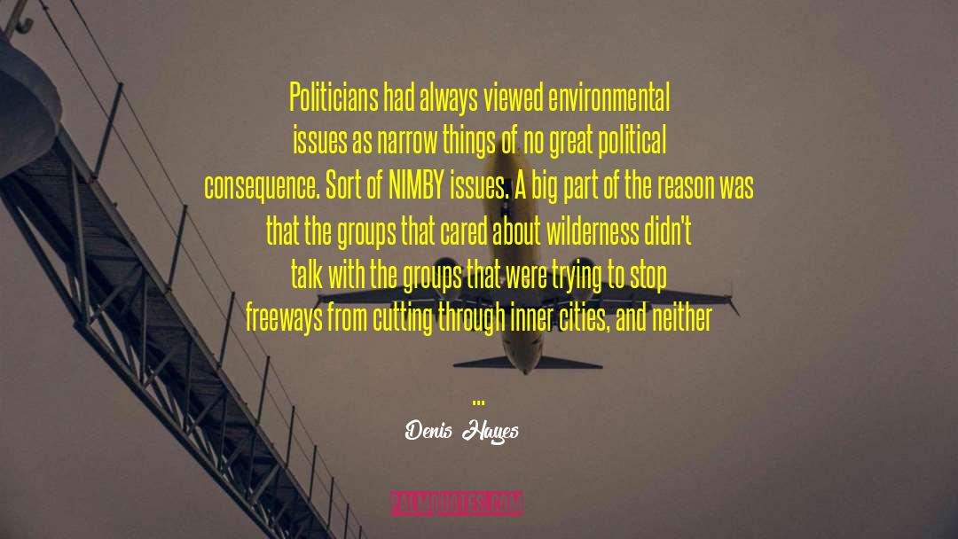 Environmental Issues quotes by Denis Hayes