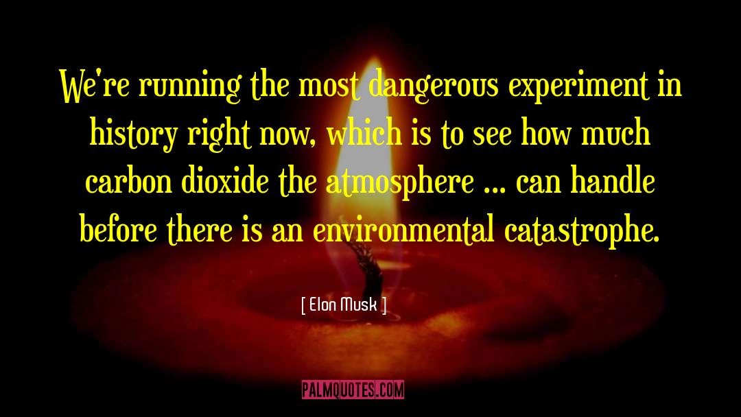 Environmental Planning quotes by Elon Musk